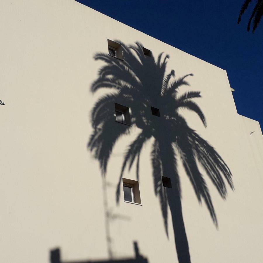 Les Pins . 2 P Calme Et Terrasse Διαμέρισμα Νίκαια Εξωτερικό φωτογραφία